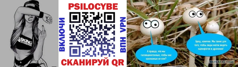продажа наркотиков  Дятьково  Галлюциногенные грибы мицелий 