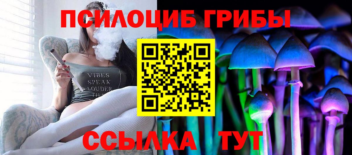 Галлюциногенные грибы MAGIC MUSHROOMS Дятьково