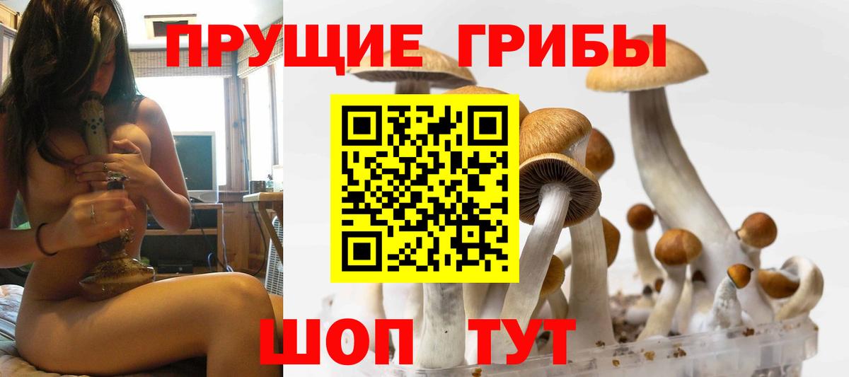 закладка  Вход с VPN  Дятьково  Псилоцибиновые грибы Psilocybe 